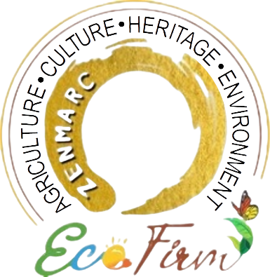 zenmarcecofirm